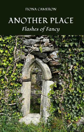 Cover image for Another Place