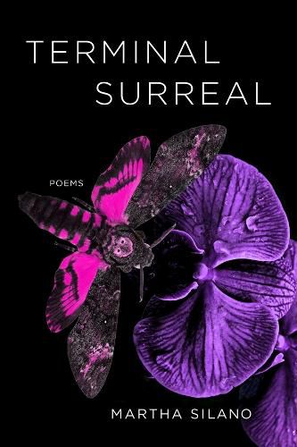 Cover image for Terminal Surreal