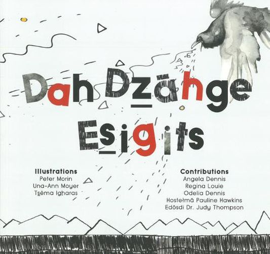 Dah Dz&#257;hge Esigits: We Write Our Language