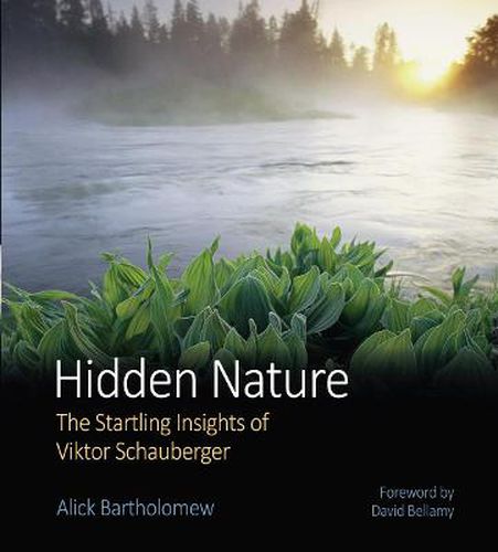 Cover image for Hidden Nature: The Startling Insights of Viktor Schauberger