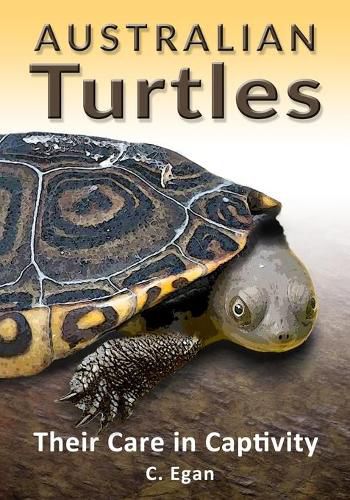 Cover image for Australian Turtles: Their Care in Captivity