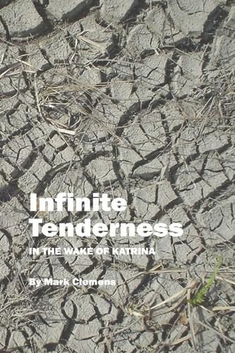 Cover image for Infinite Tenderness