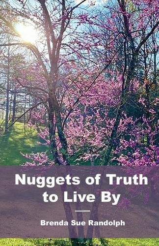 Cover image for Nuggets of Truth to Live By