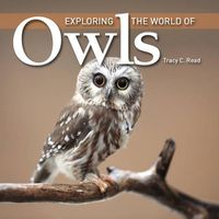 Cover image for Exploring the World of Owls