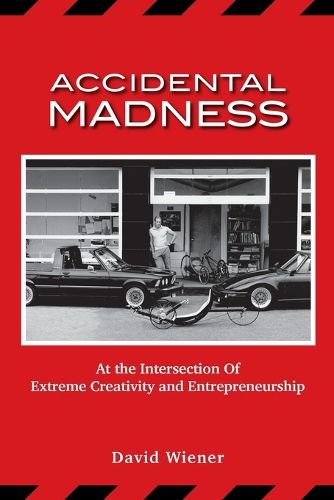 Cover image for Accidental Madness