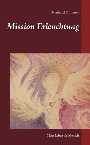 Cover image for Mission Erleuchtung: Mein Leben als Mensch