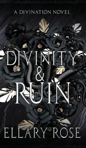 Cover image for Divinity & Ruin: A Divination Novel