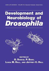 Cover image for Development and Neurobiology of Drosophila