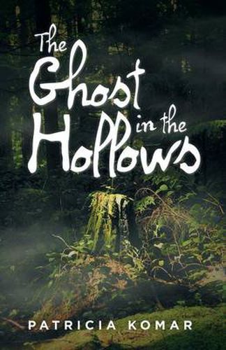 Cover image for The Ghost in the Hollows