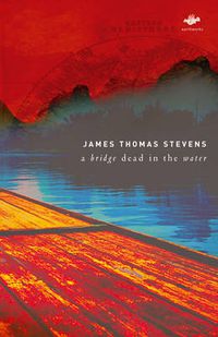 Cover image for A Bridge Dead in the Water