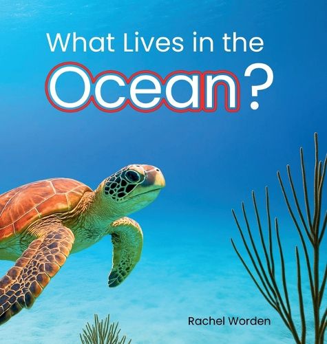 Cover image for What Lives in the Ocean? (Habitat Series)