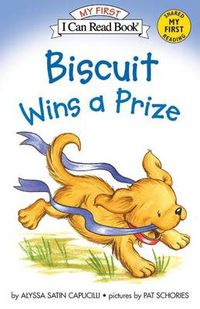 Cover image for Biscuit Wins A Prize