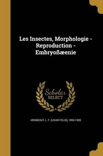 Cover image for Les Insectes, Morphologie - Reproduction - Embryossaeenie