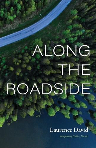 Cover image for Along the Roadside