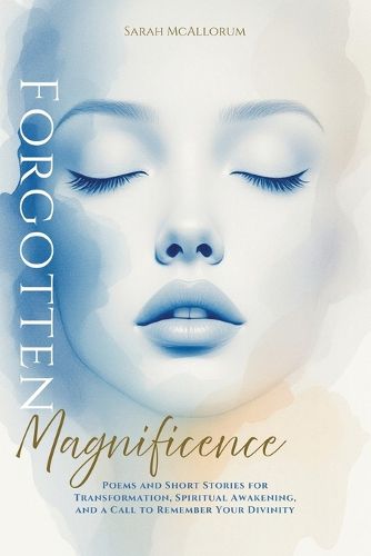 Cover image for Forgotten Magnificence