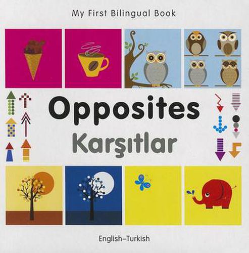 Cover image for My First Bilingual Book -  Opposites (English-Turkish)