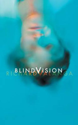 Cover image for Blind Vision