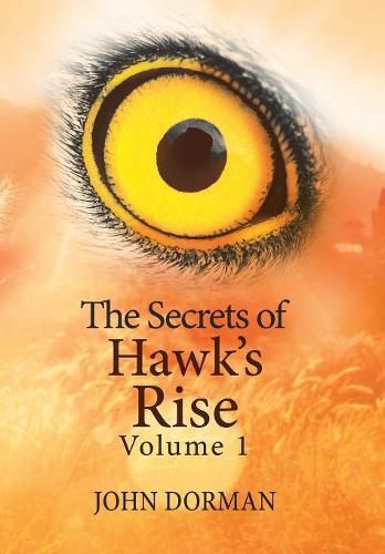 Cover image for The Secrets of Hawk'S Rise