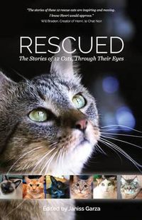 Cover image for Rescued: The Stories of 12 Cats, Through Their Eyes