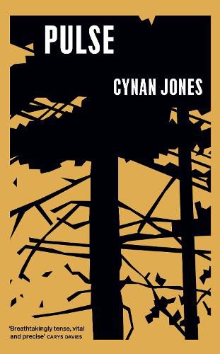 Cover image for Pulse