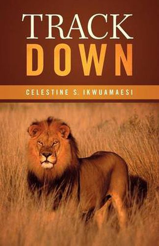 Cover image for Track Down