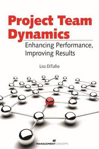 Project Team Dynamics: Enhancing Performance Improving Results