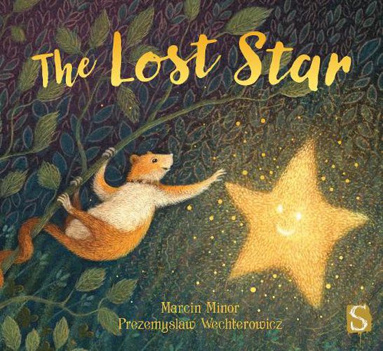 Cover image for The Lost Star