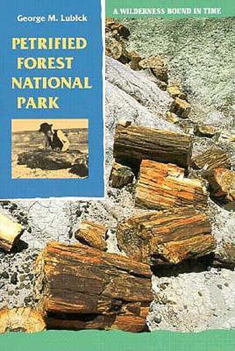 Cover image for Petrified Forest National Park: A Wilderness Bound in Time