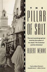 Cover image for The Pillar of Salt