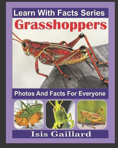 Cover image for Grasshoppers Photos and Facts for Everyone: Animals in Nature