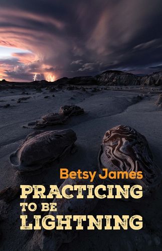 Cover image for Practicing to Be Lightning