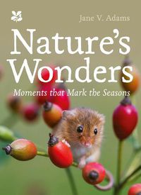 Cover image for Nature's Wonders: The Moments That Mark the Seasons