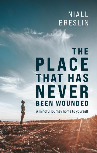 Cover image for The Place That Has Never Been Wounded