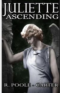 Cover image for Juliette Ascending