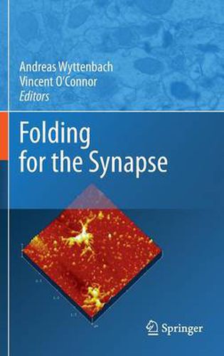 Cover image for Folding for the Synapse