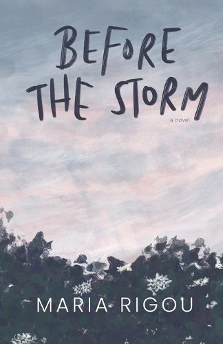 Cover image for Before the Storm