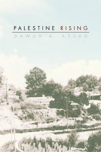 Cover image for Palestine Rising