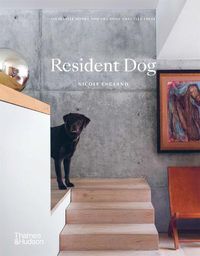 Cover image for Resident Dog: Incredible Homes and the Dogs That Live There