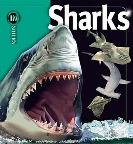 Cover image for Sharks