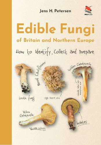 Cover image for Edible Fungi of Britain and Northern Europe: How to Identify, Collect, and Prepare