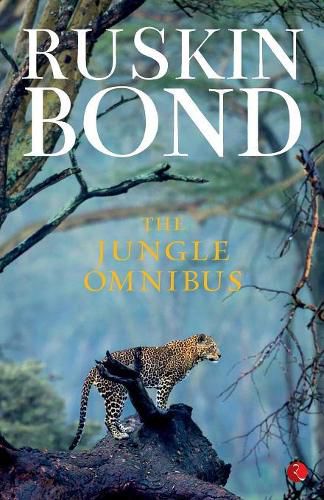 Cover image for The Jungle Omnibus