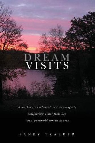 Cover image for Dream Visits: A mother's unexpected and wonderfully comforting visits from her twenty-year-old son in heaven
