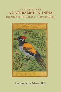 Cover image for Wanderings of a Naturalist in India, the Western Himalayas and Cashmere