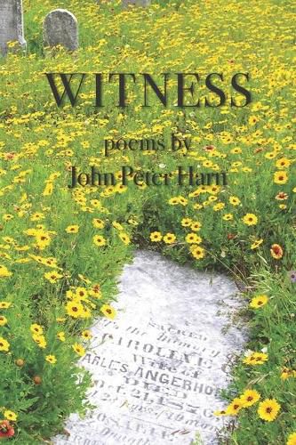 Cover image for Witness