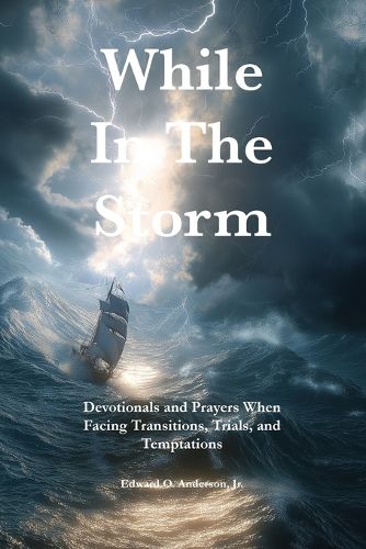 Cover image for While in the Storm