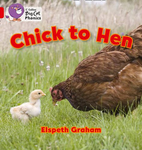 Cover image for Chick to Hen: Band 02a/Red a