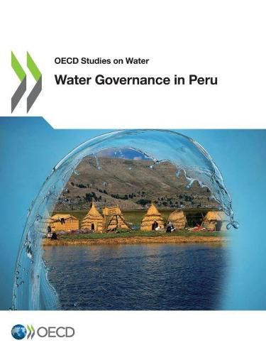Cover image for Water Governance in Peru