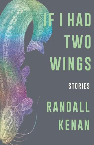 Cover image for If I Had Two Wings