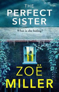 Cover image for The Perfect Sister: A compelling page-turner that you won't be able to put down