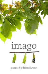 Cover image for Imago